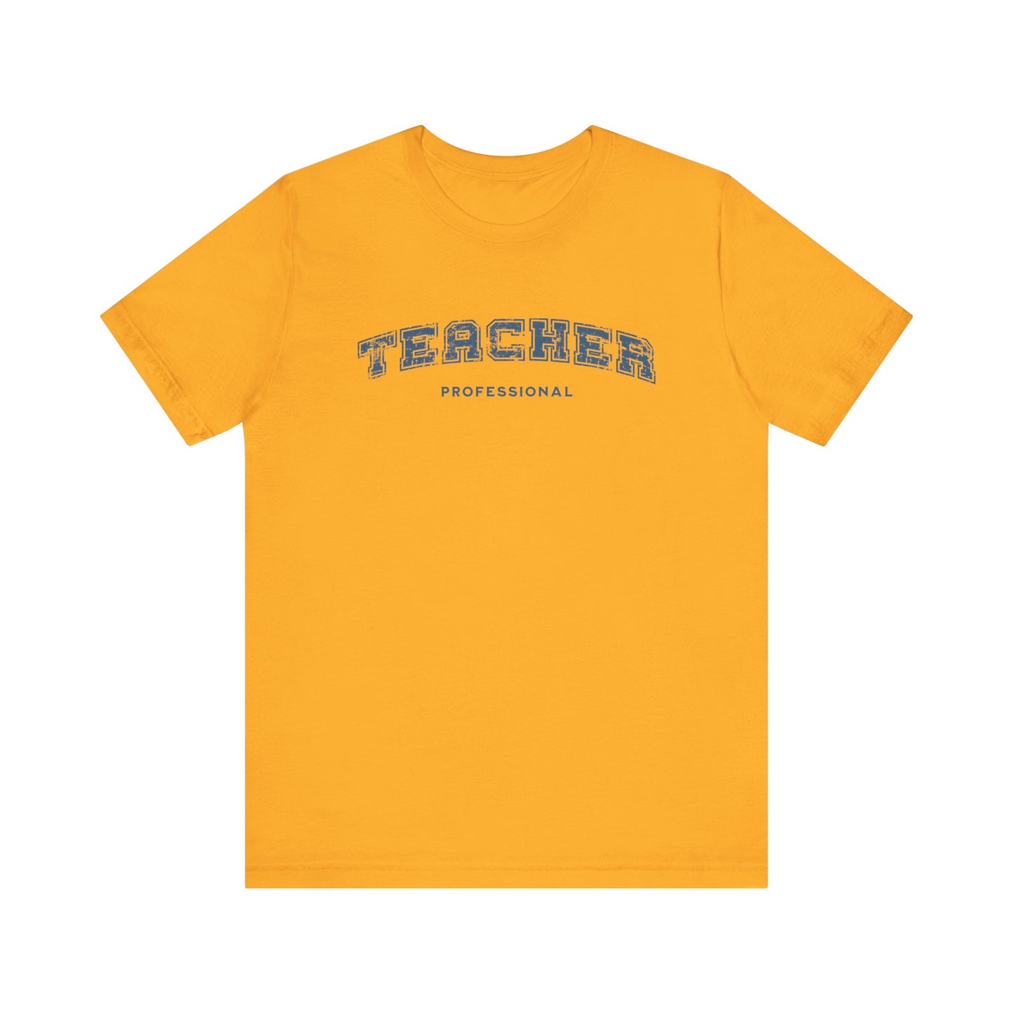 Professional Teacher T-shirt