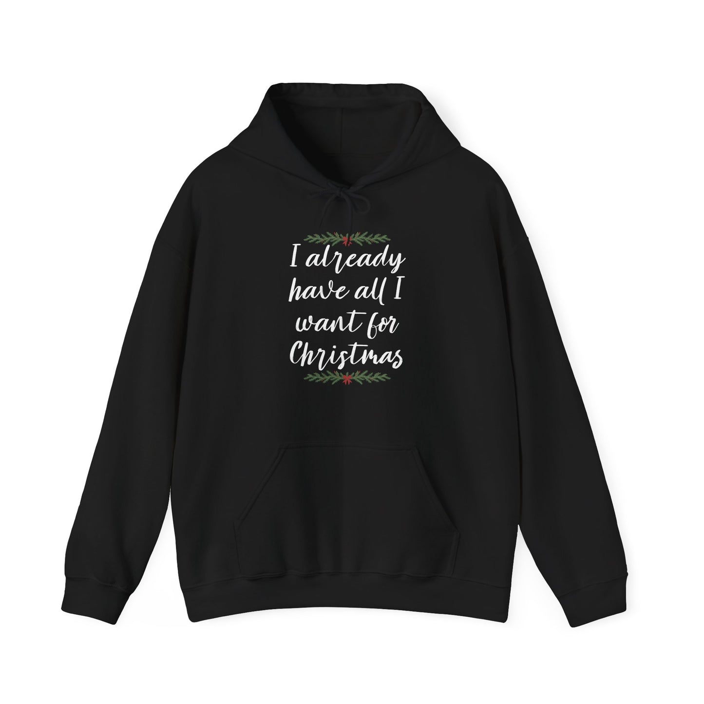 I Already Have All I Want for Christmas Hoodie