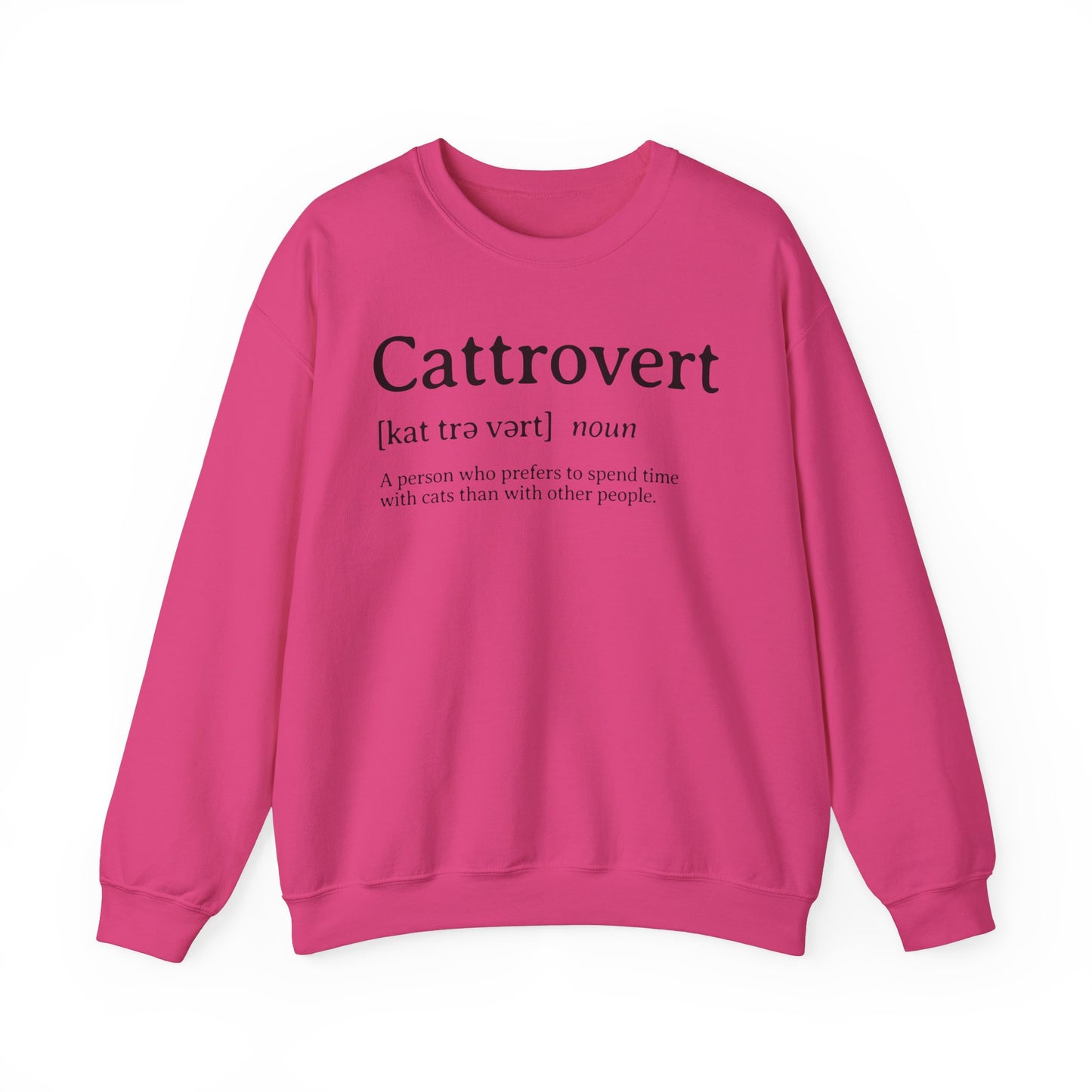 Cattrovert Definition Sweatshirt