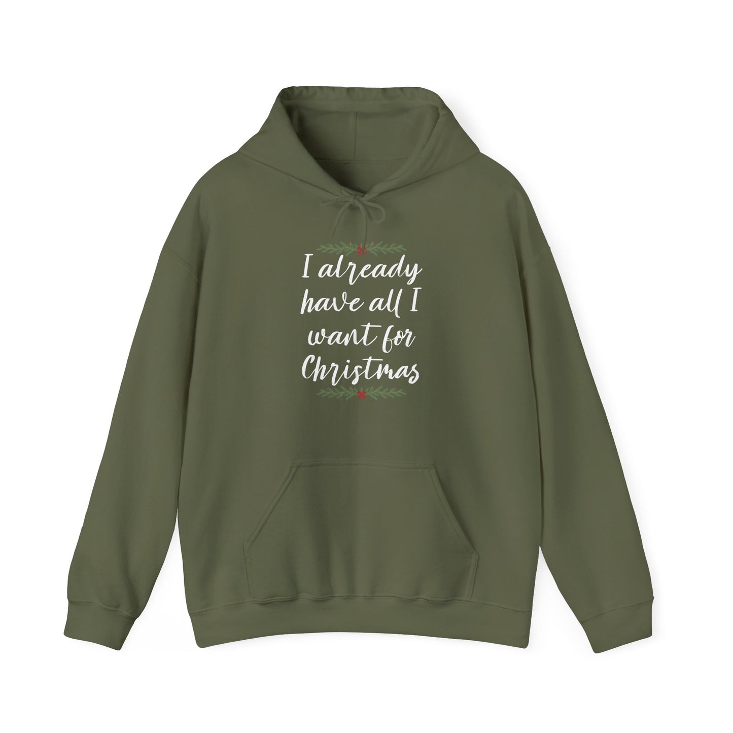 I Already Have All I Want for Christmas Hoodie