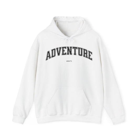 Adventure Awaits Vintage Hoodie