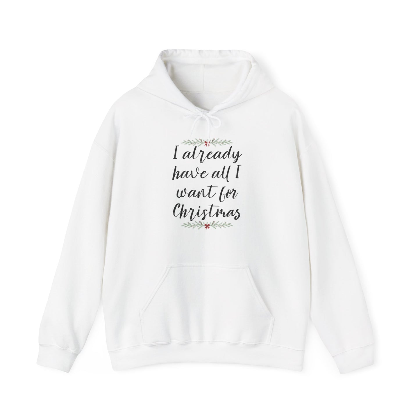 I Already Have All I Want for Christmas Hoodie