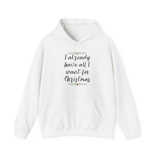 I Already Have All I Want for Christmas Hoodie