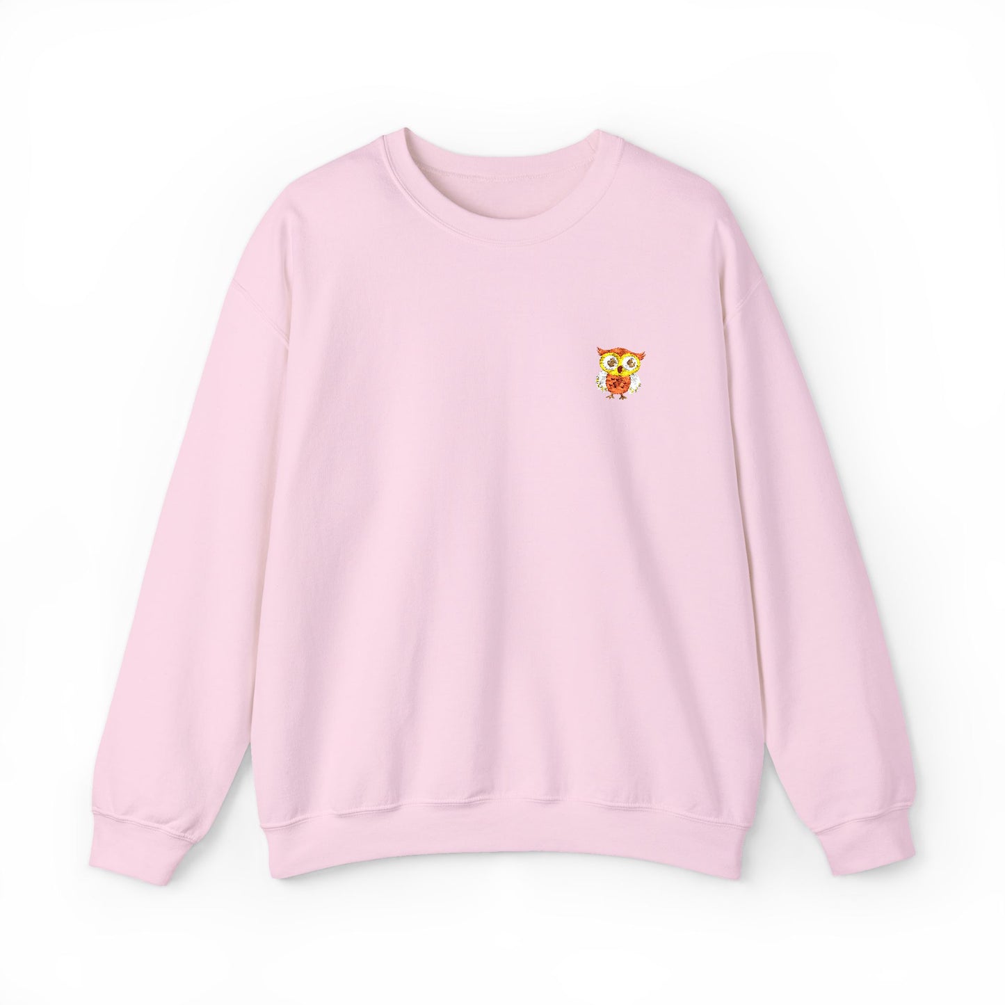 Embroidered Cute Cartoon Owl Sweatshirt